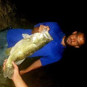 Meet your Posher, Drew